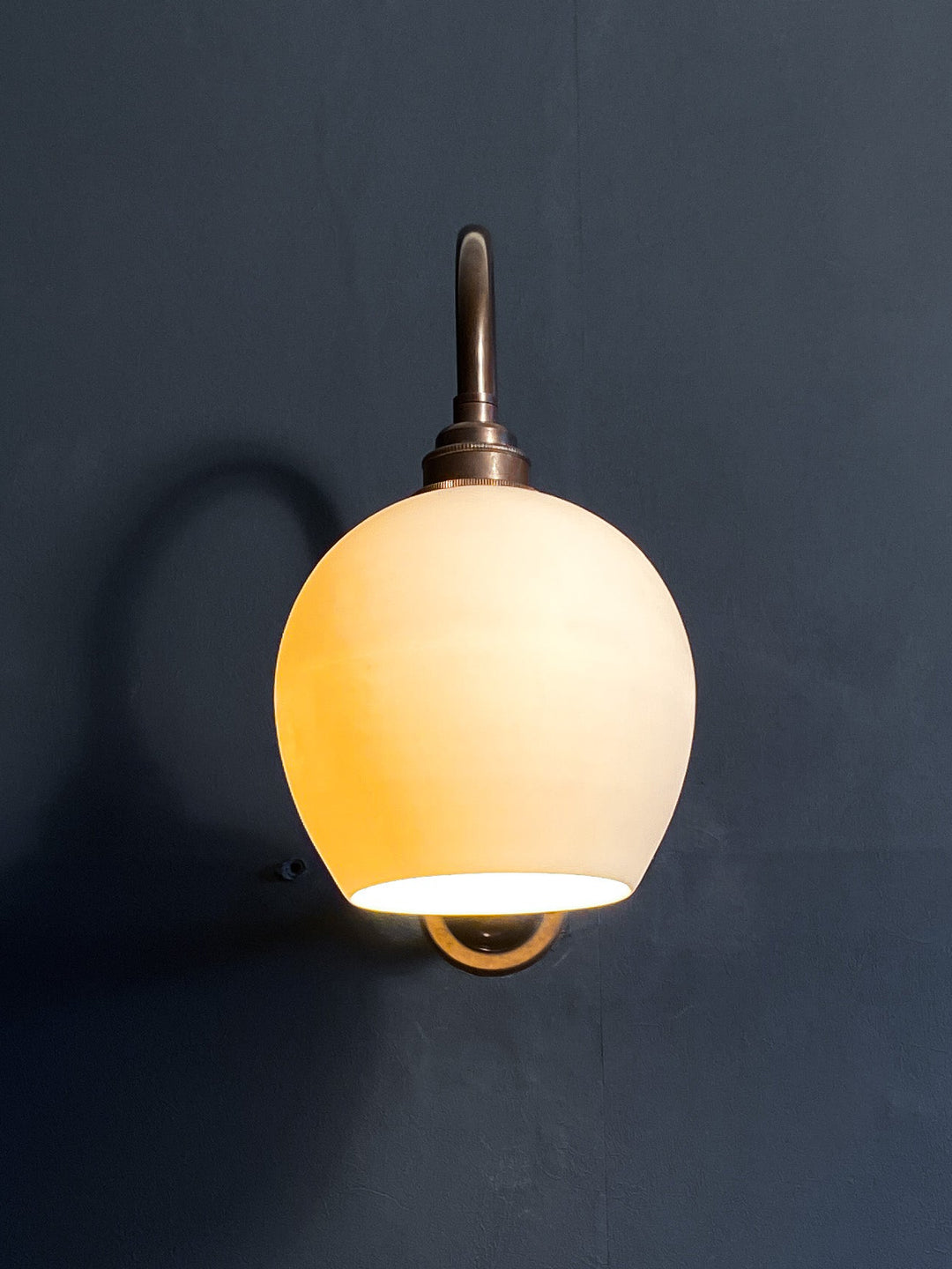 Leighton Wall Light - Long Swan Neck